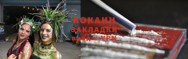 ешки Аркадак