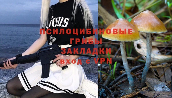 a pvp Алзамай