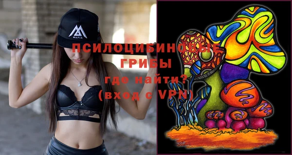 ешки Аркадак